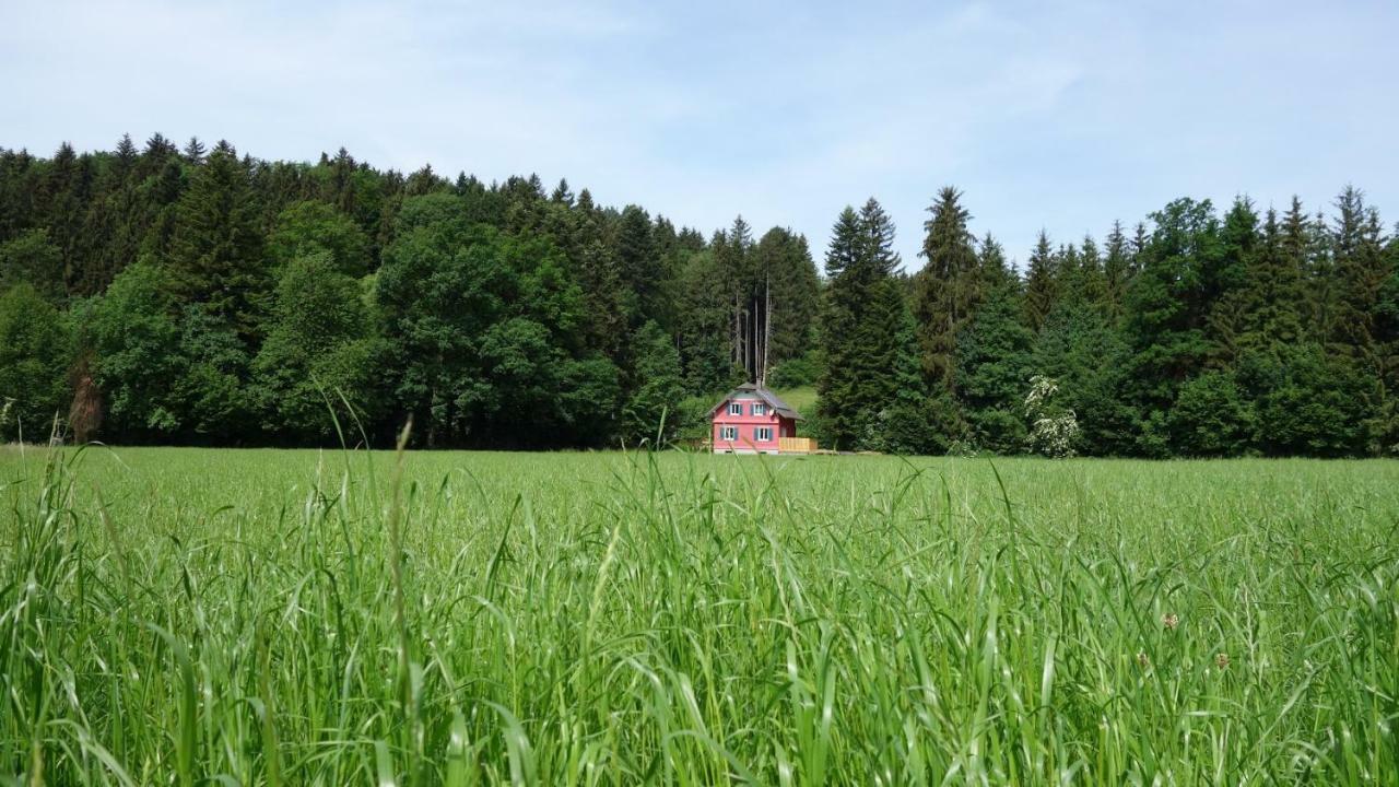 Erwins Ferien-Paradies Hörbranz Zewnętrze zdjęcie